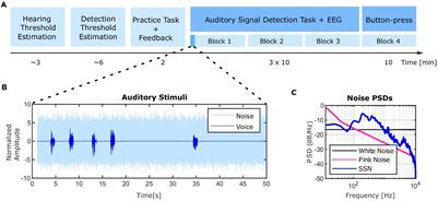 Similar EEG Activity Patterns During Experimentally-Induced Auditory Illusions and Veridical Perceptions